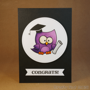 Graduation owl
