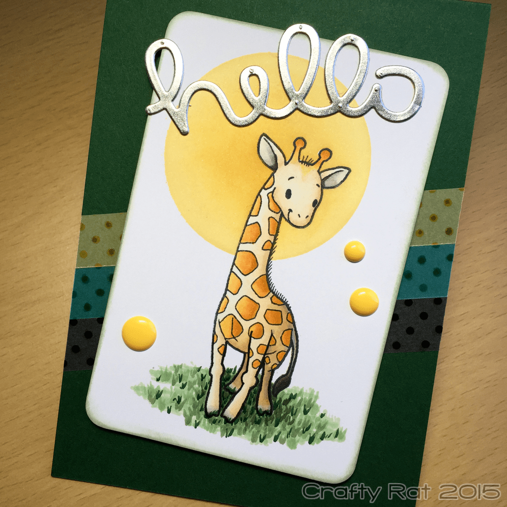 Cute giraffe