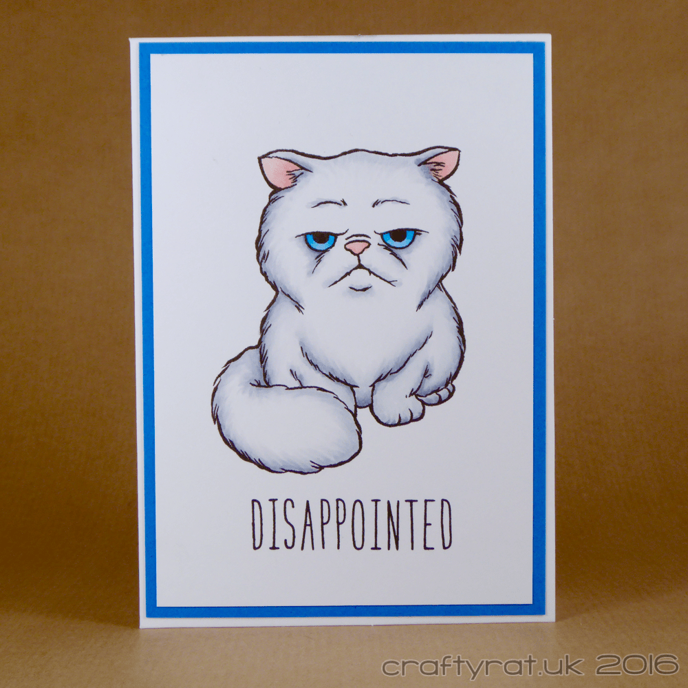 Disappointed Persian