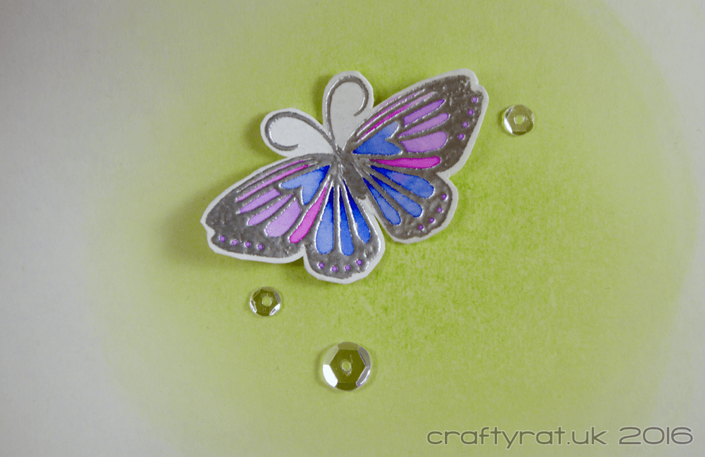 embossed butterflies - inside