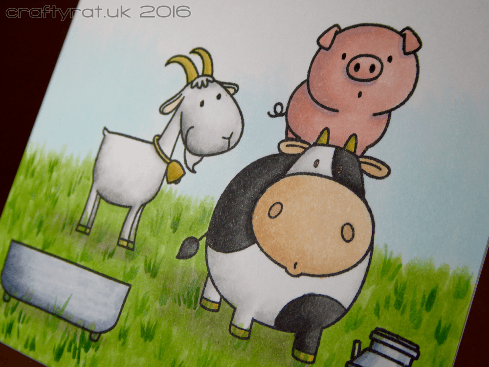 farmyard on grass - detail