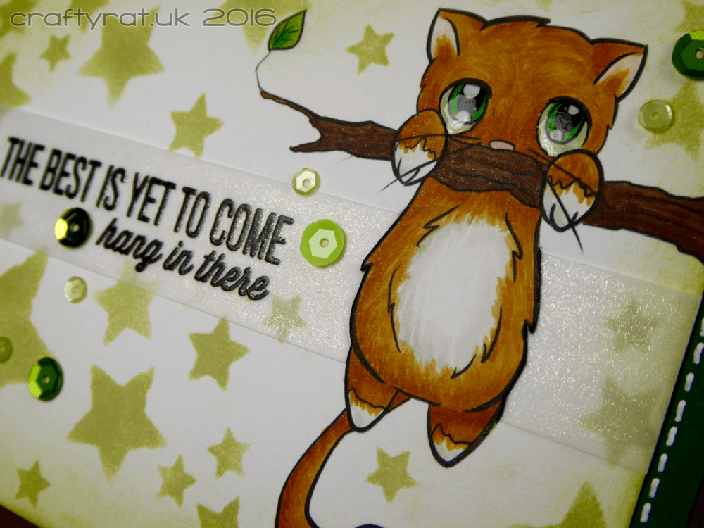 Hang in there kitty - detail