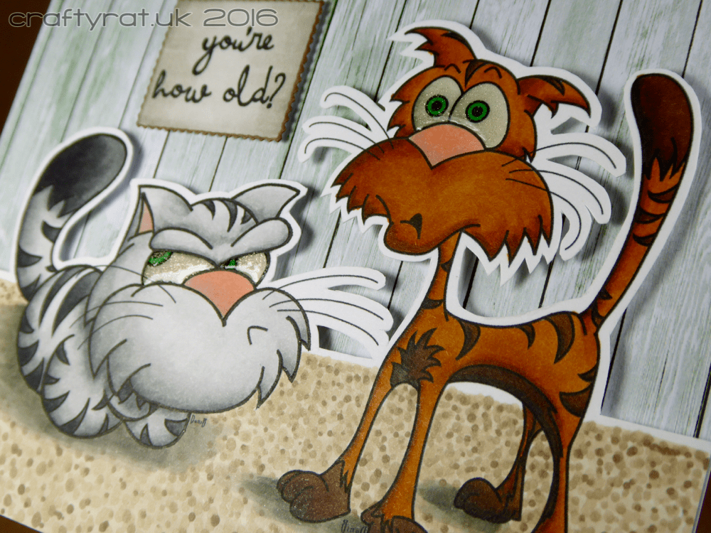 alley cats - detail