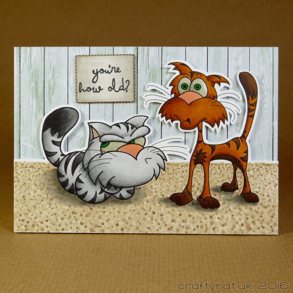 alley cats