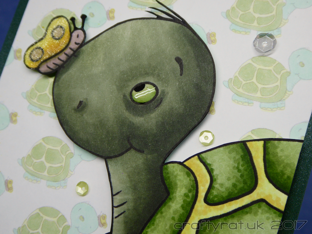 Tortoise Hello Hello tortoise! – Crafty Rat