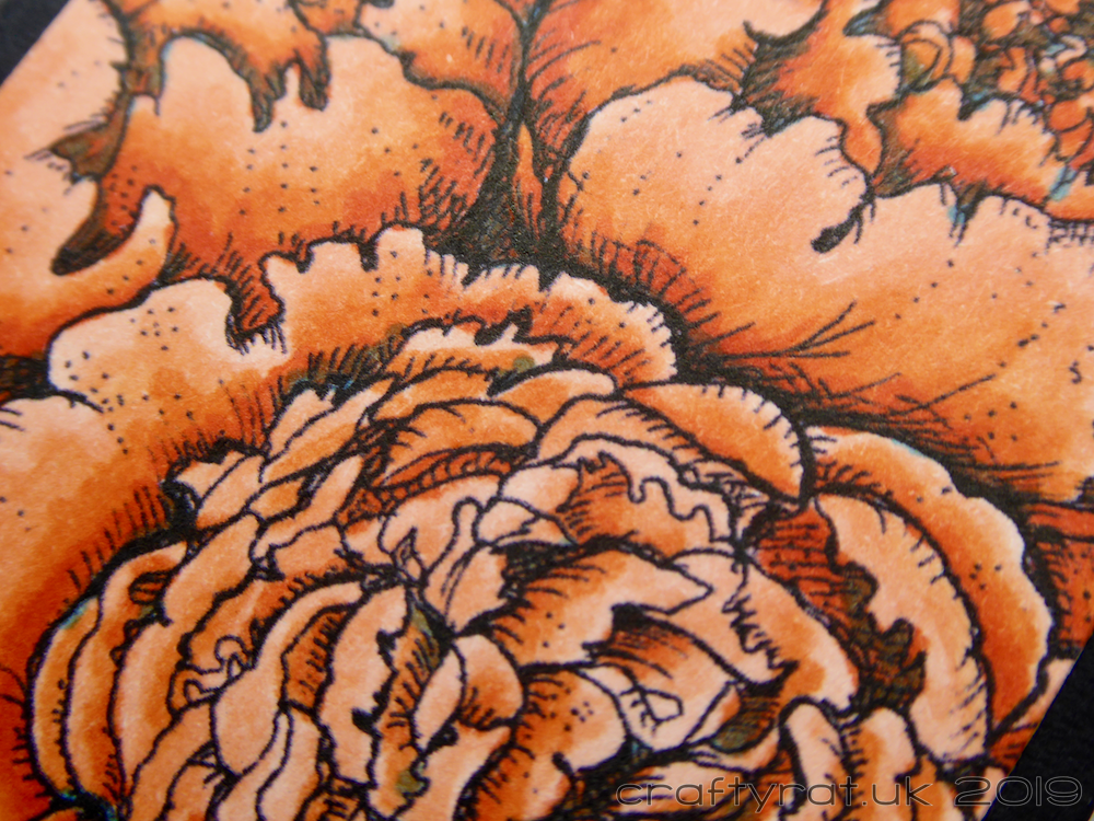 CRX0114 detail.png