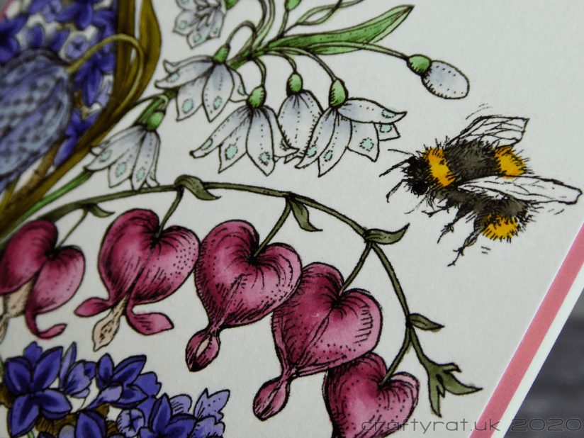 Close-up of the flowers and bee.