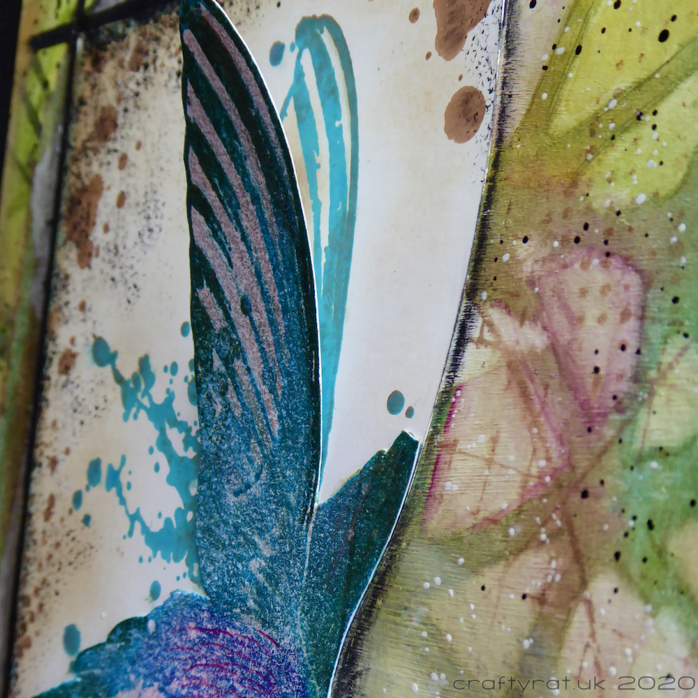 Close-up of the wing curled away from the main image.