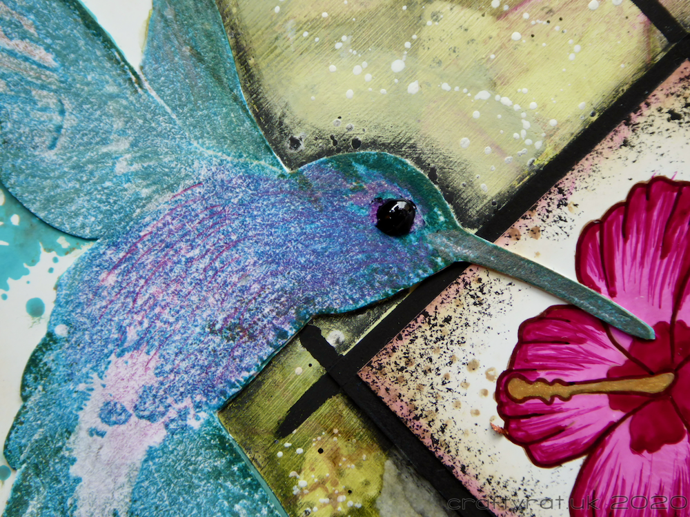 Close-up centred on the hummingbird head.