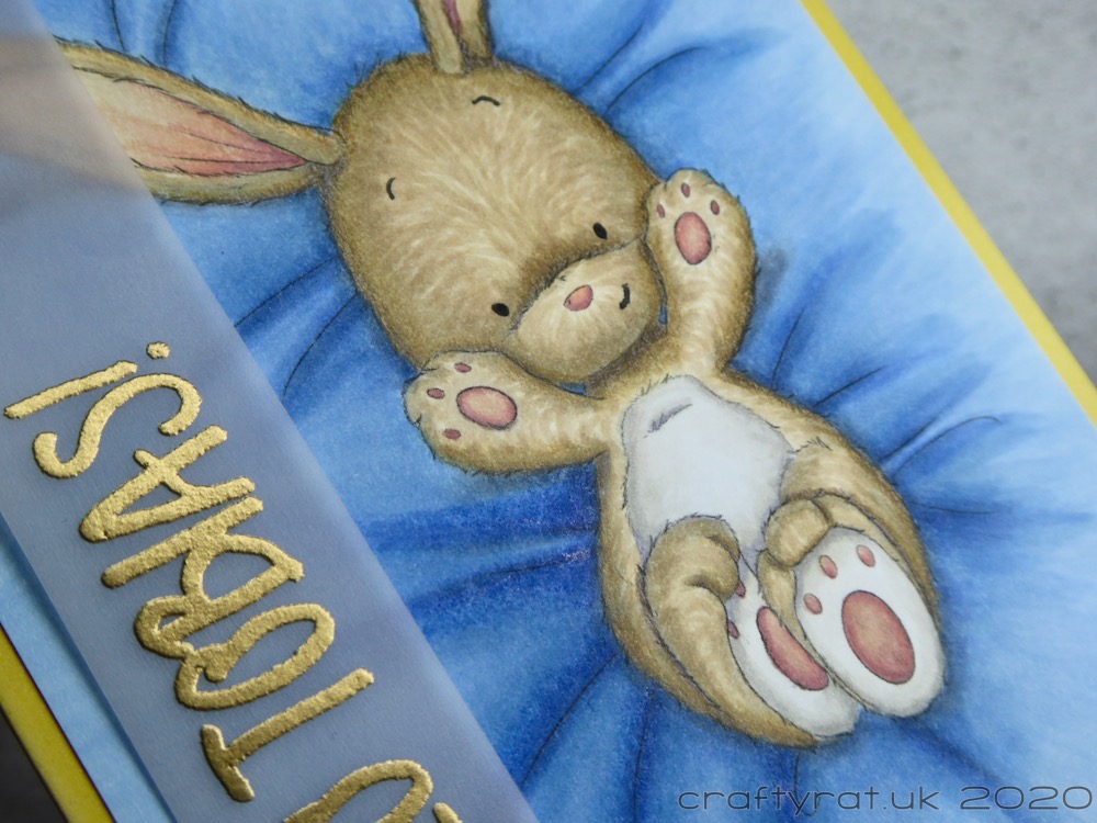 Close-up of the bunny.