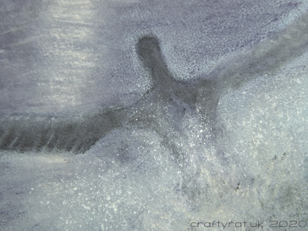 A close-up of the pastel cormorant.