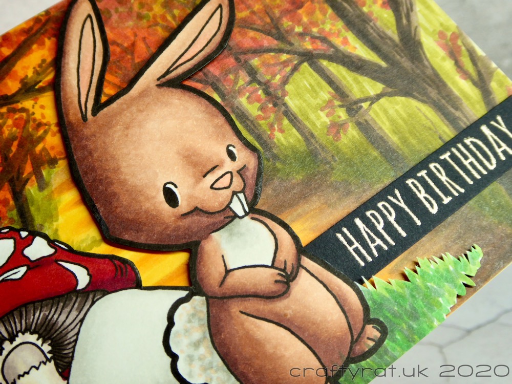 A close-up of the bunny.