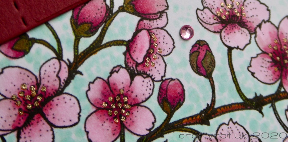 A close-up of the flowers.