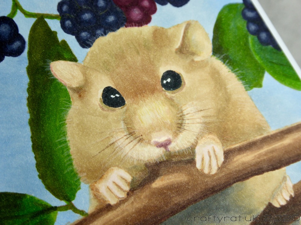 Close-up of the mouse.