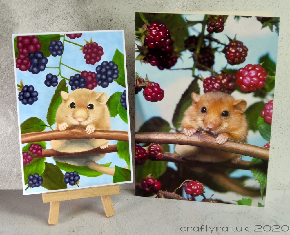 My Copic marker version of the card alongside the photograph original.