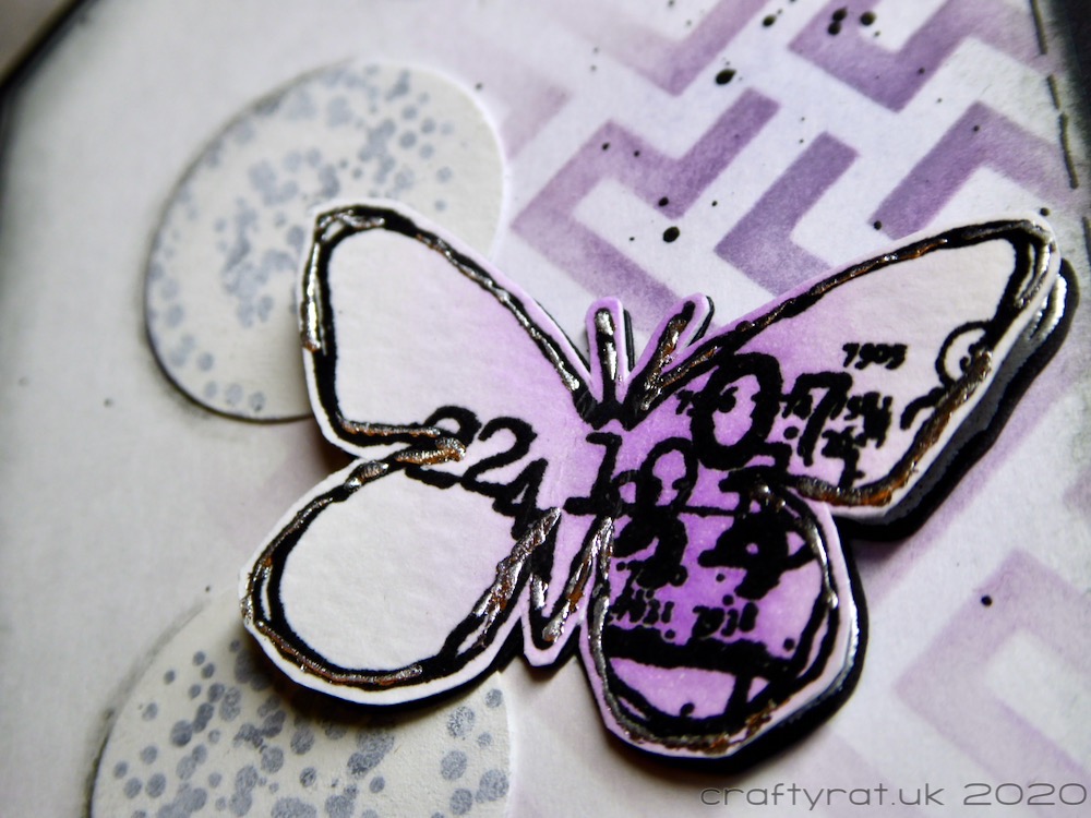 Close-up of the butterfly.