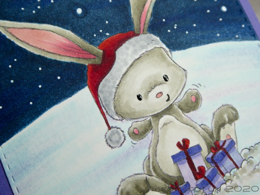 A close-up of the bunny.