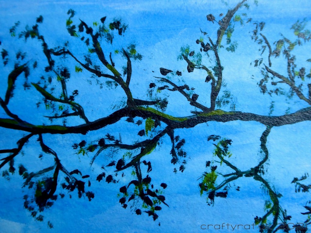 A close-up of the tree branch.