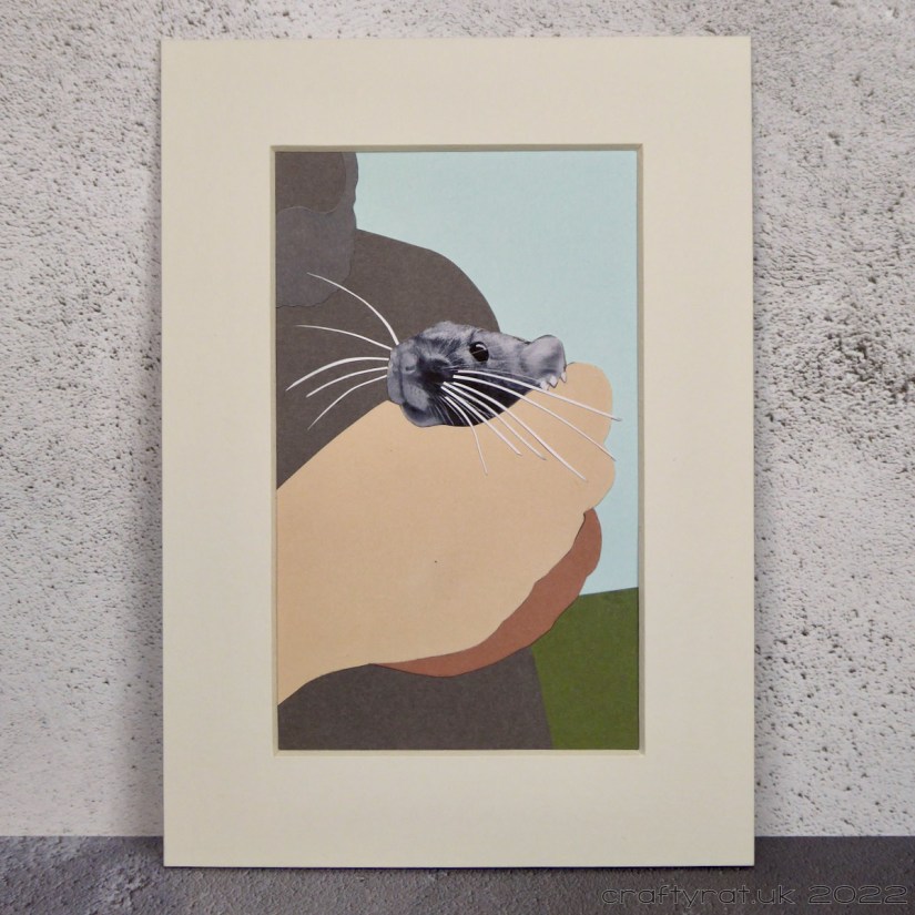 a small collage of a hand holding a pet rat